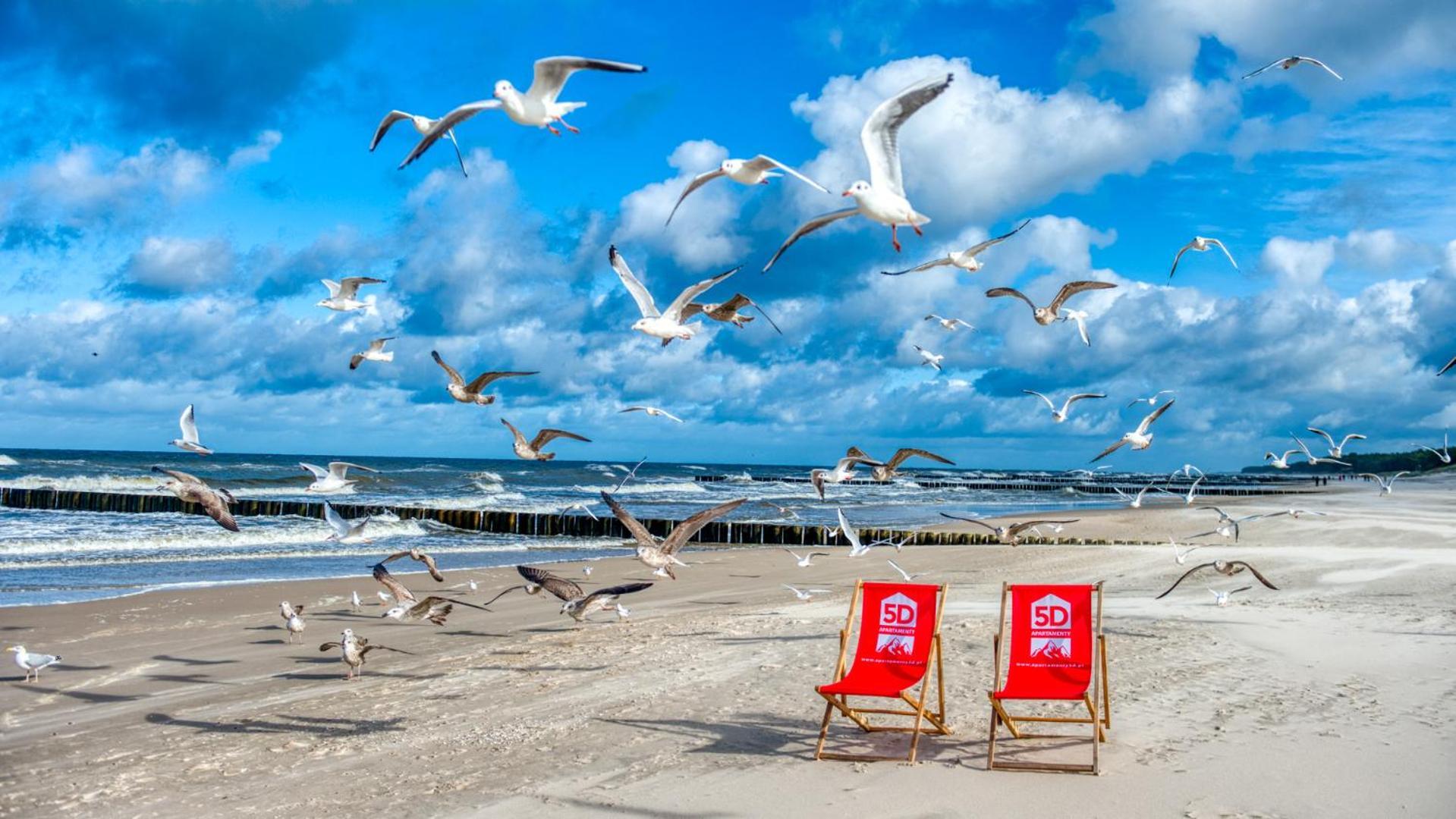 Rezydencja Niechorze 310 Z Widokiem Na Morze I Przy Plazy - 5D Apartamenty Экстерьер фото